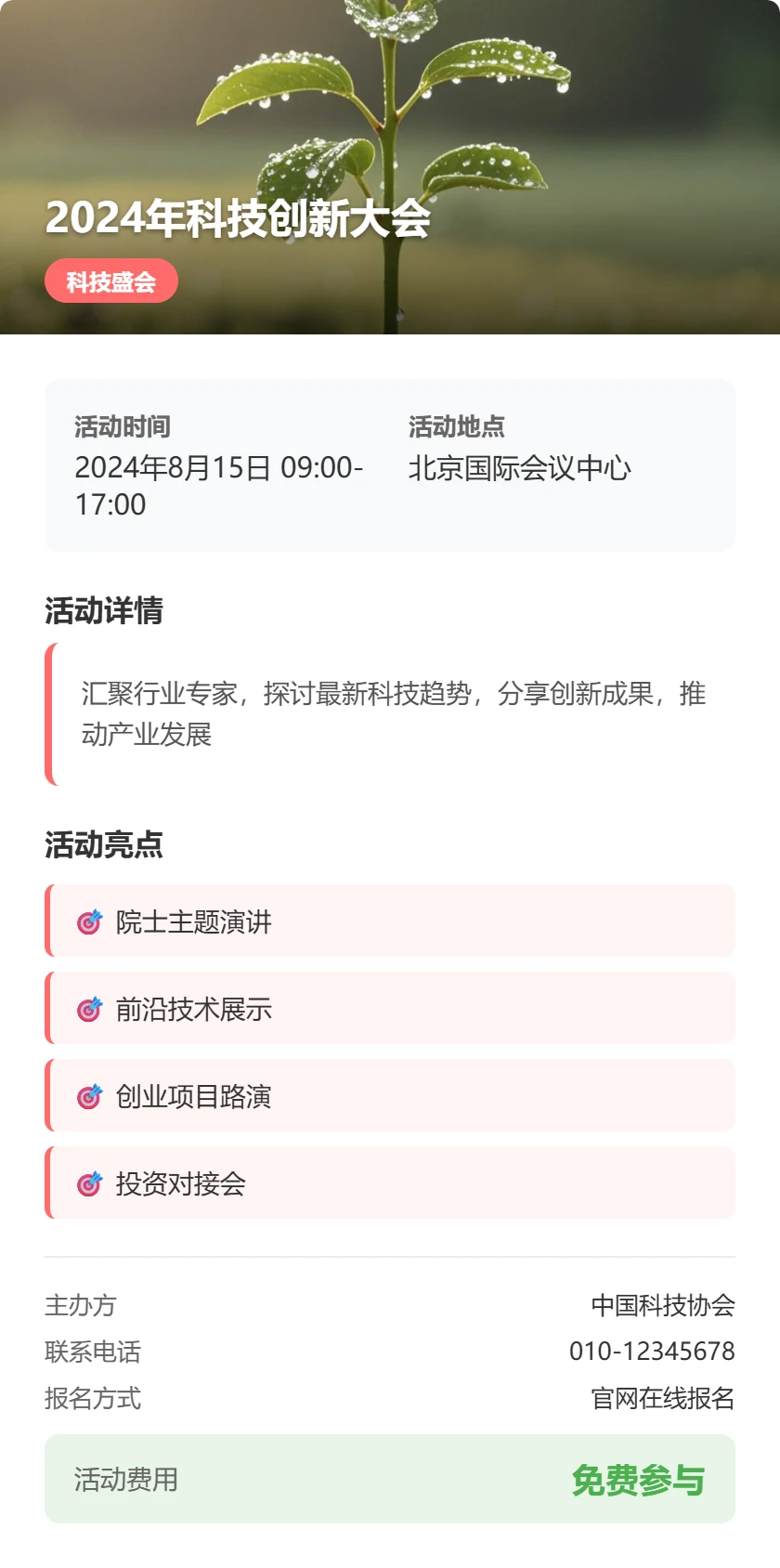 模板4