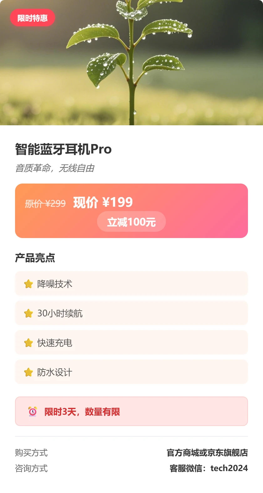 模板5
